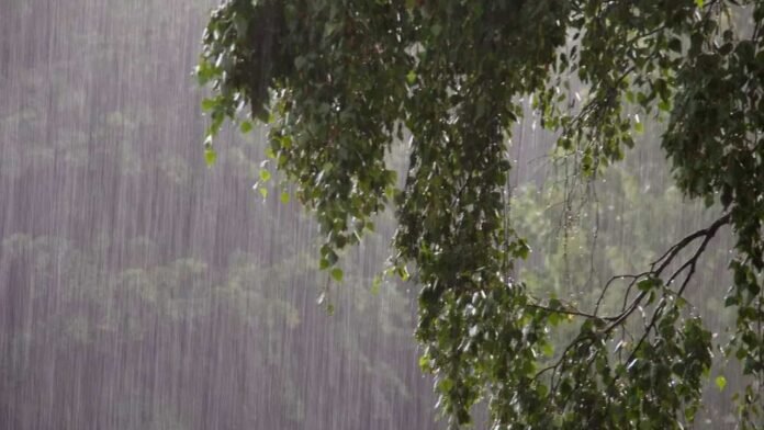 Rain Alert Rain Alert