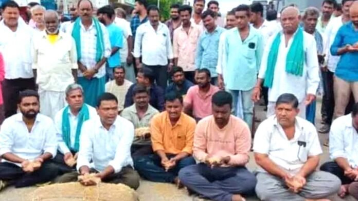 paddy Paddy Centers