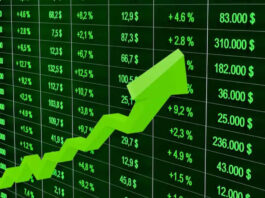 Stock Market