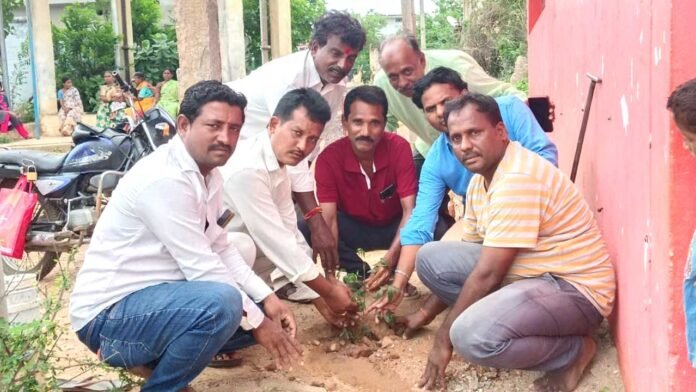 trees Yellareddy