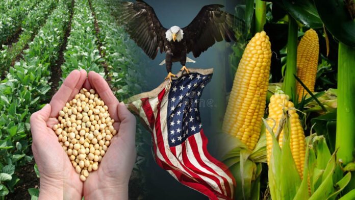Trade Deal | అమెరికాతో వాణిజ్య ఒప్పందంపై ప్రతిష్టంభన.. లక్షలాది రైతుల ప్రయోజనాలపైనే కేంద్రం దృష్టి